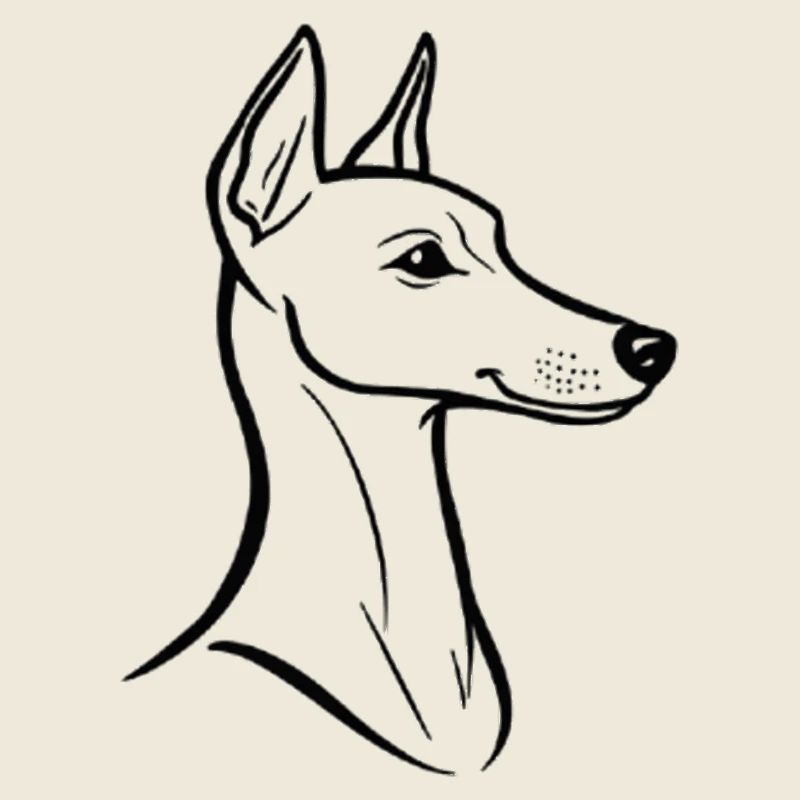 Minimalist Whippet Line Art - Elegant Dog Design