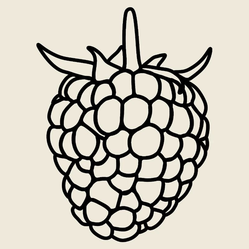 Raspberry Silhouette