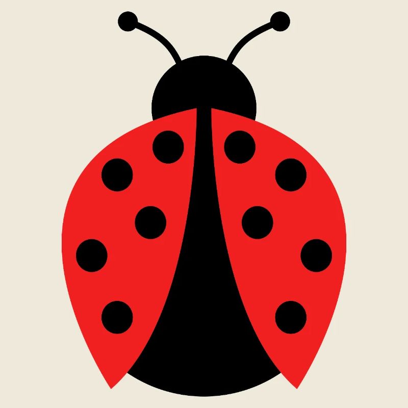 ladybug