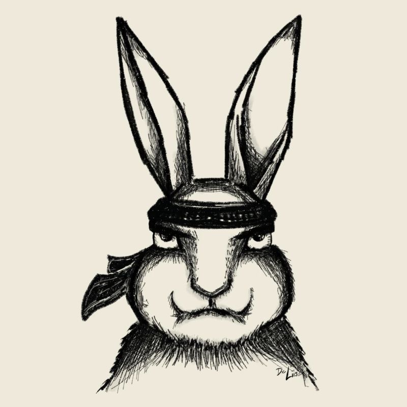 Karaté Lapin