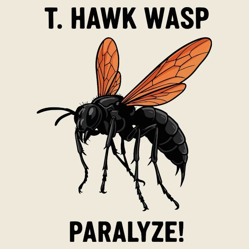 Pepsis Danger lähmt Tarantula-Hawk-Wespe