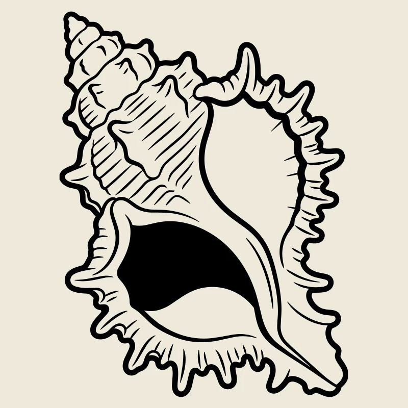 coquille