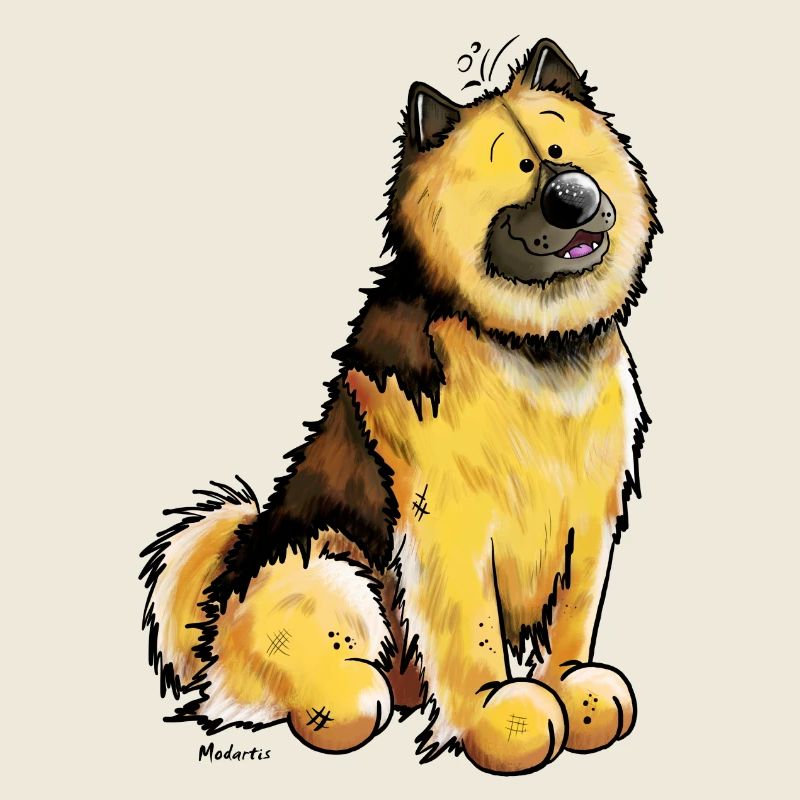 Drôle Eurasier