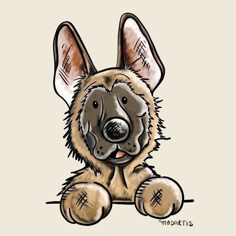Mignon Malinois - Chien - Chiens