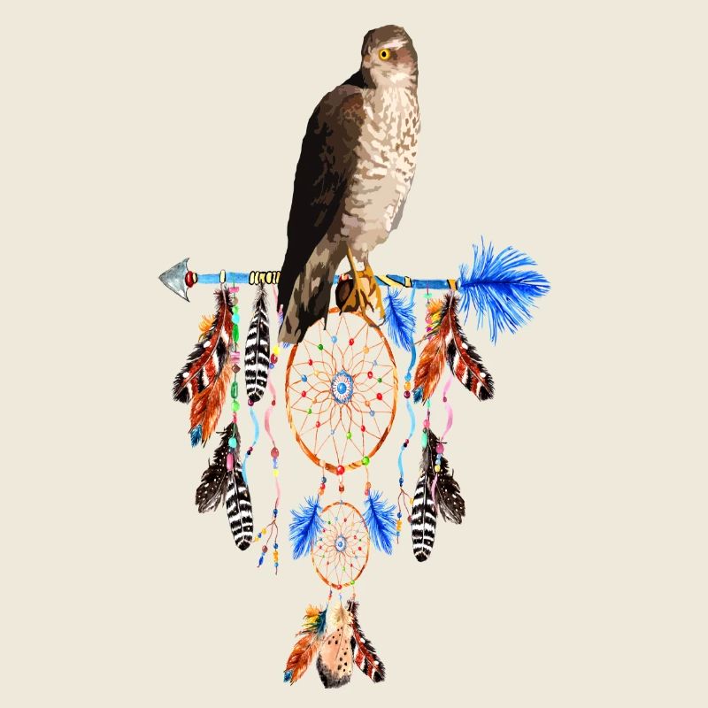 falcon dream mystic dream catcher