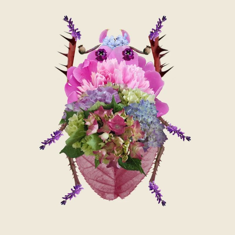 Scarabée de Fleurs Colorées