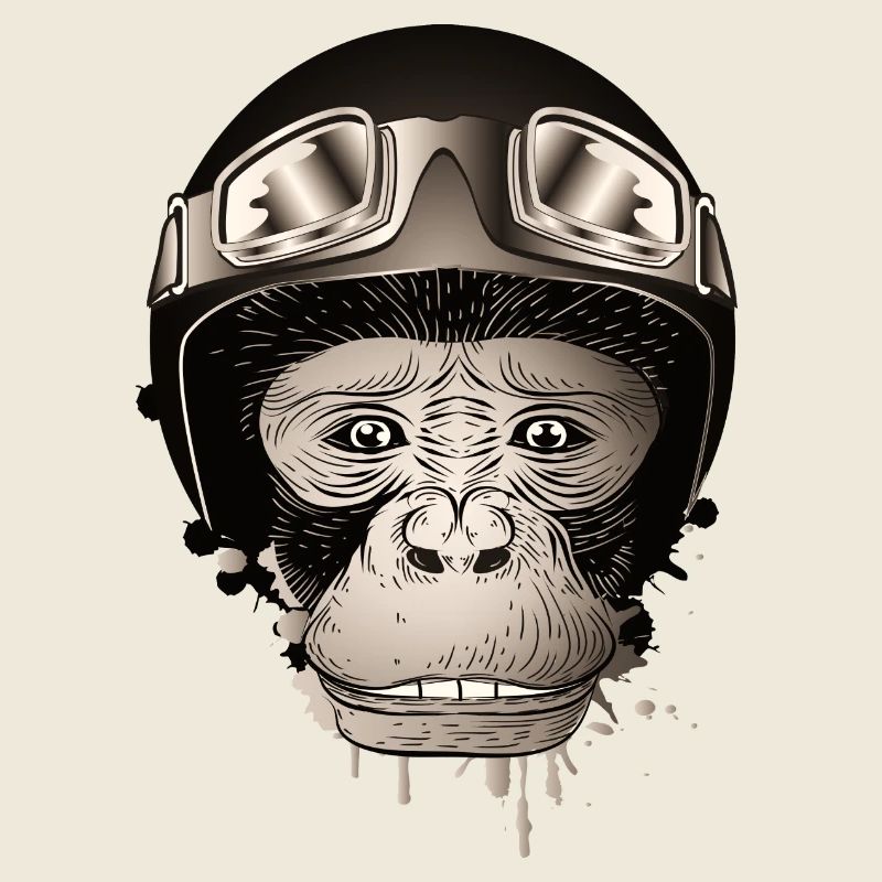 Chimpanzee with retro motorcycle helmet and goggles