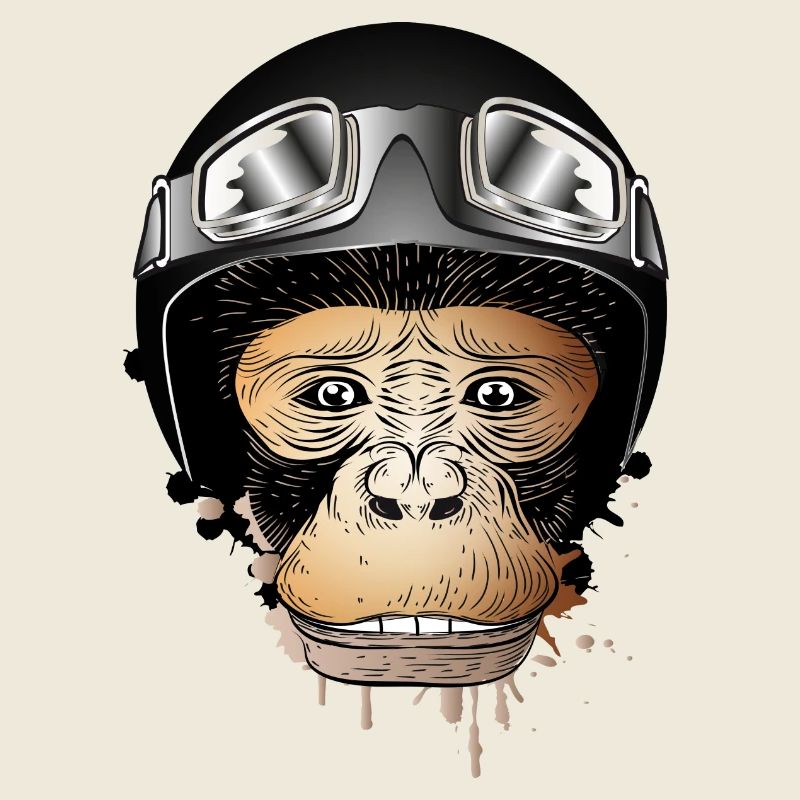 Affe mit Retro Motorrad Helm und Motorrad Brille