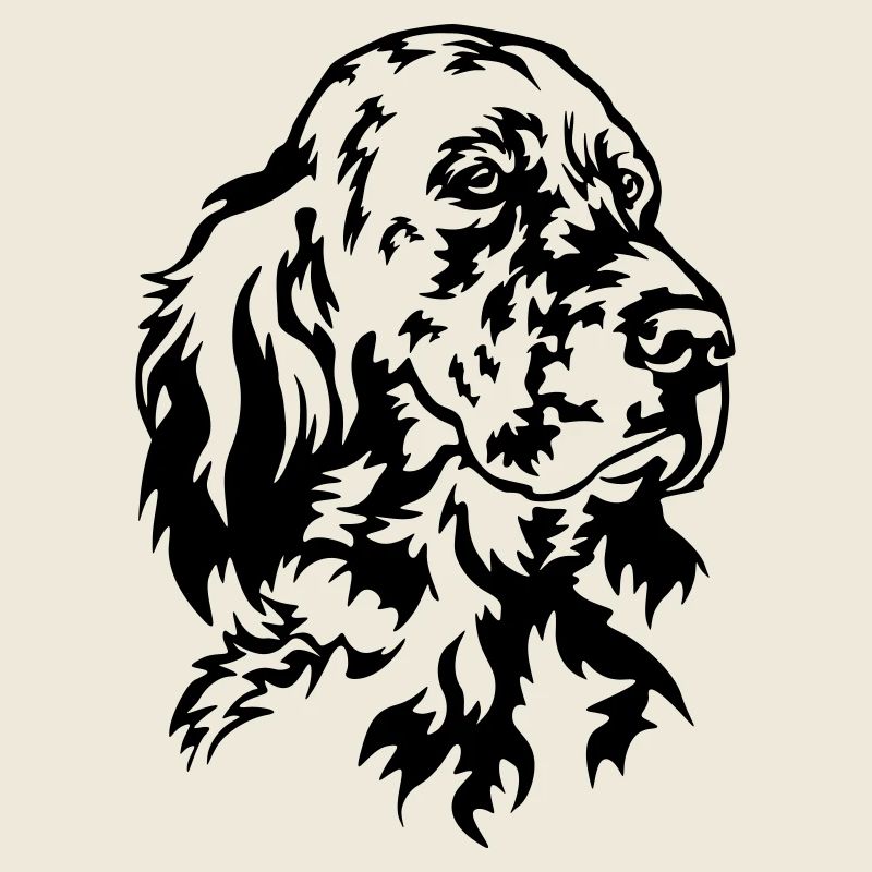 Englischer Setter Kopf