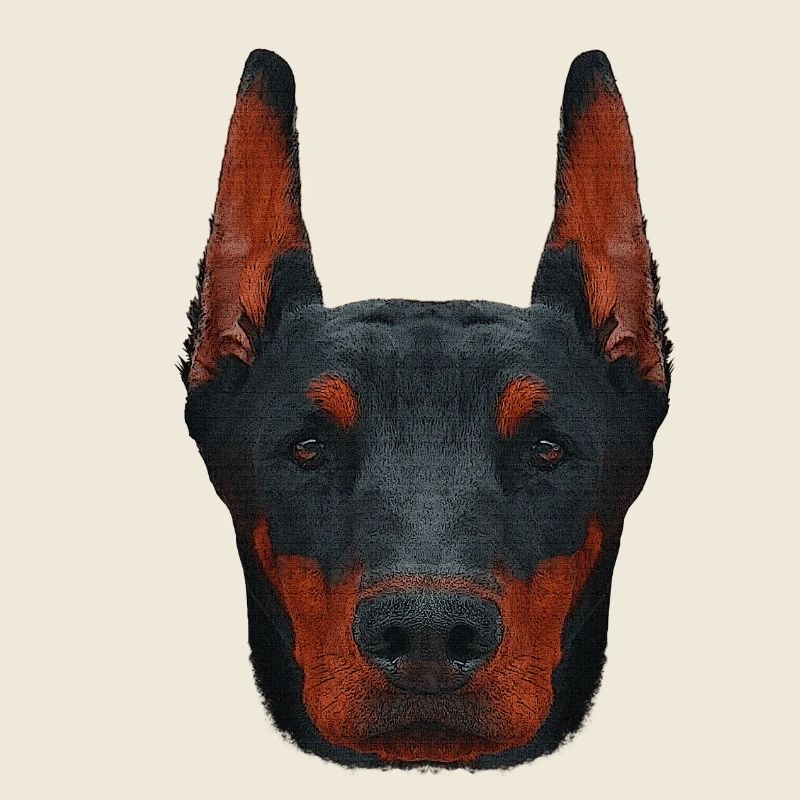 Hunde Fan shirts, Dobermanngesicht Leinwand optik