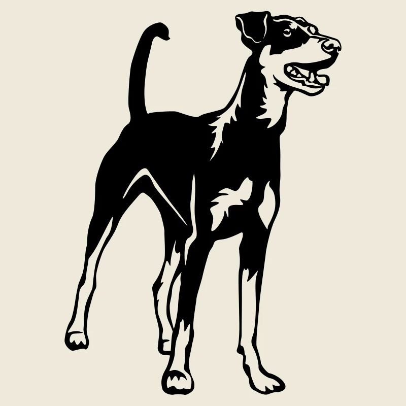 Pinscher allemand