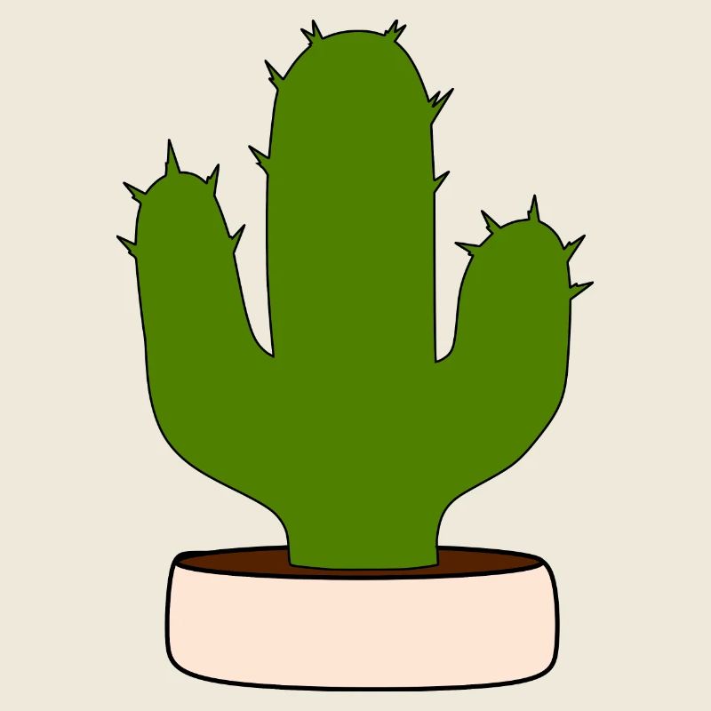 Cactus, cacti, succulents, plant