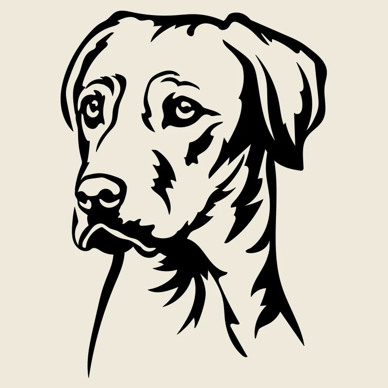 Rhodesian Ridgeback Kopf