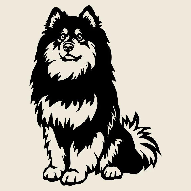 Finnischer Lapphund