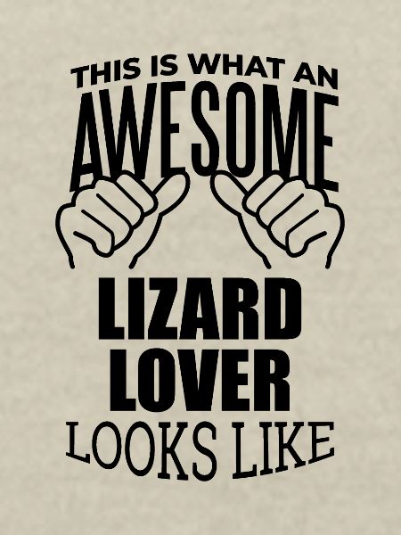 Lézard Lézard Lézard