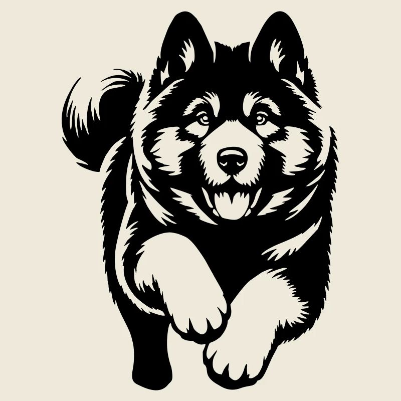 American Akita