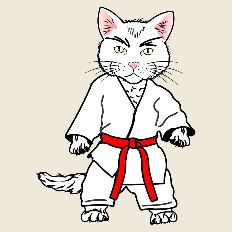 Chat de karaté blanc avec bande orange