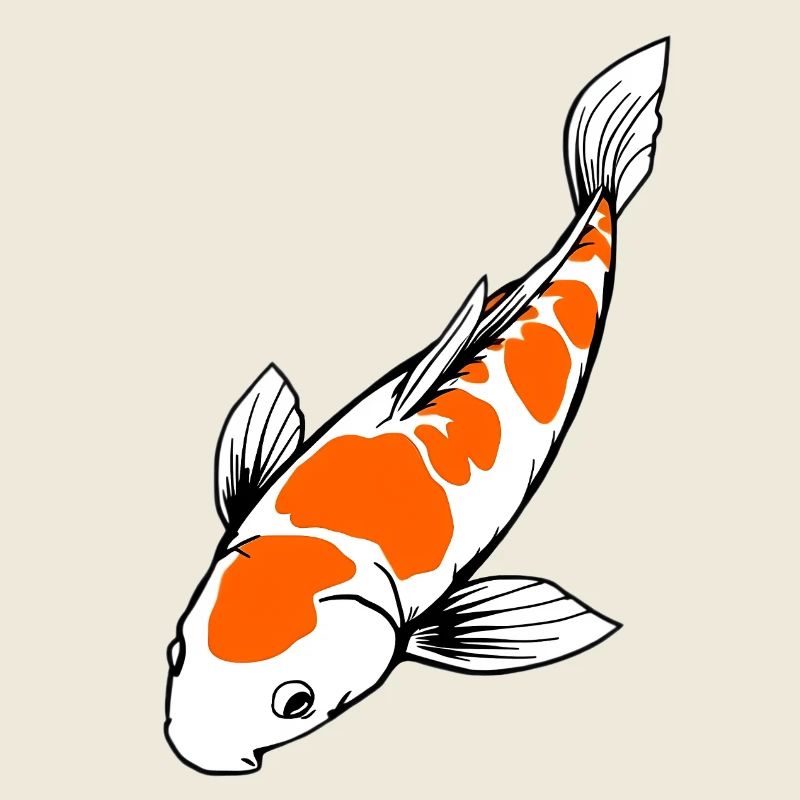 Koi Fish