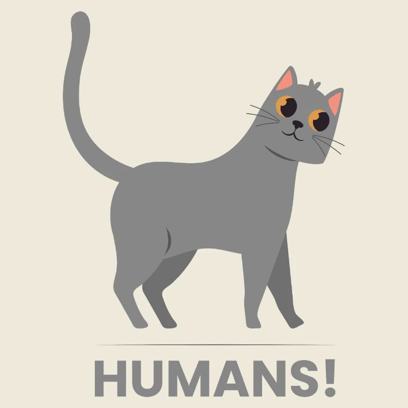 Oh meine Katze