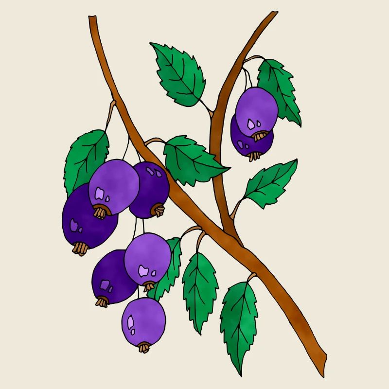Pflaumen