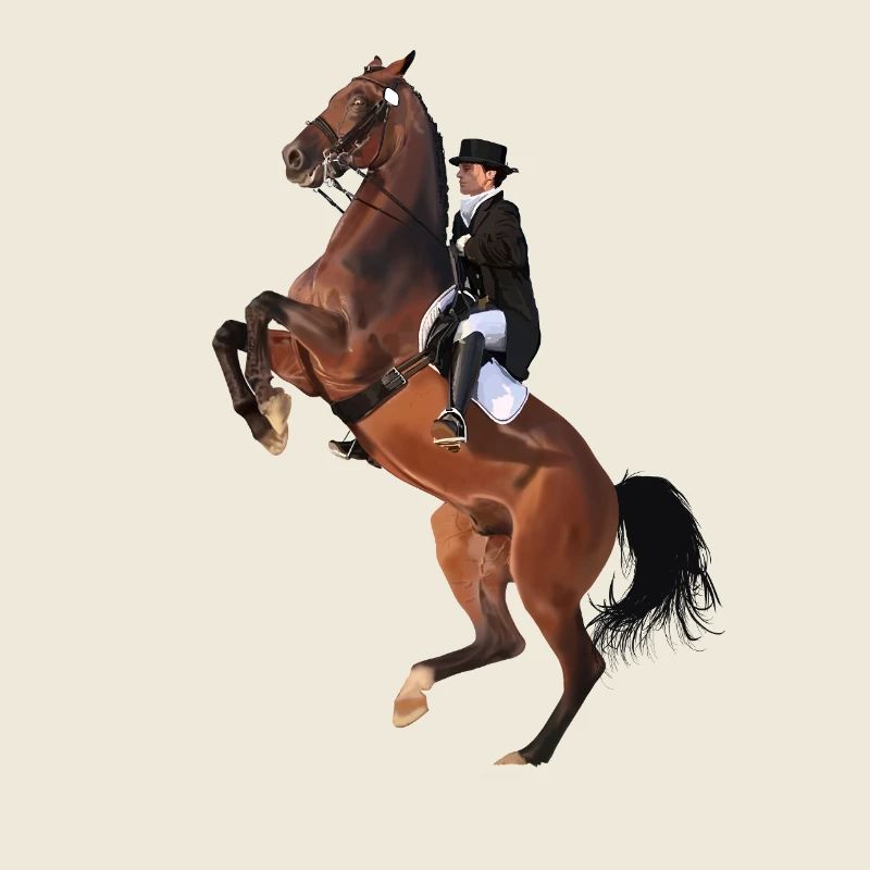 Eleganter Reiter auf Springendem Pferd