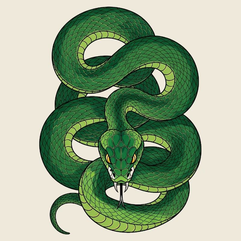 Snake