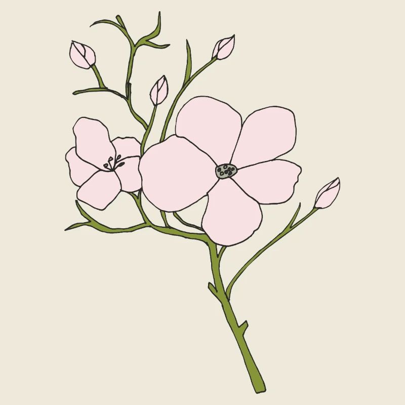 rose sauvage