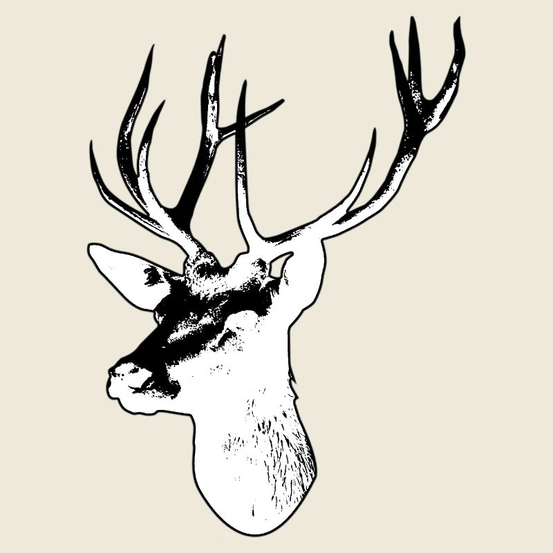 Hirsch