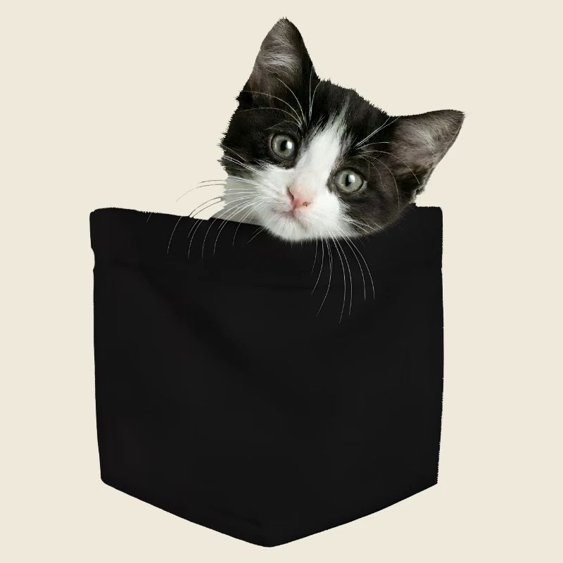 Cat Pocket jette un coup d’œil à un chat mignon dans la poche
