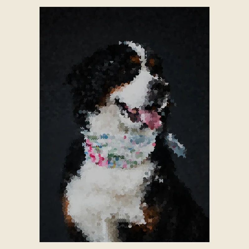 Mosaikhund mit buntem Halsband