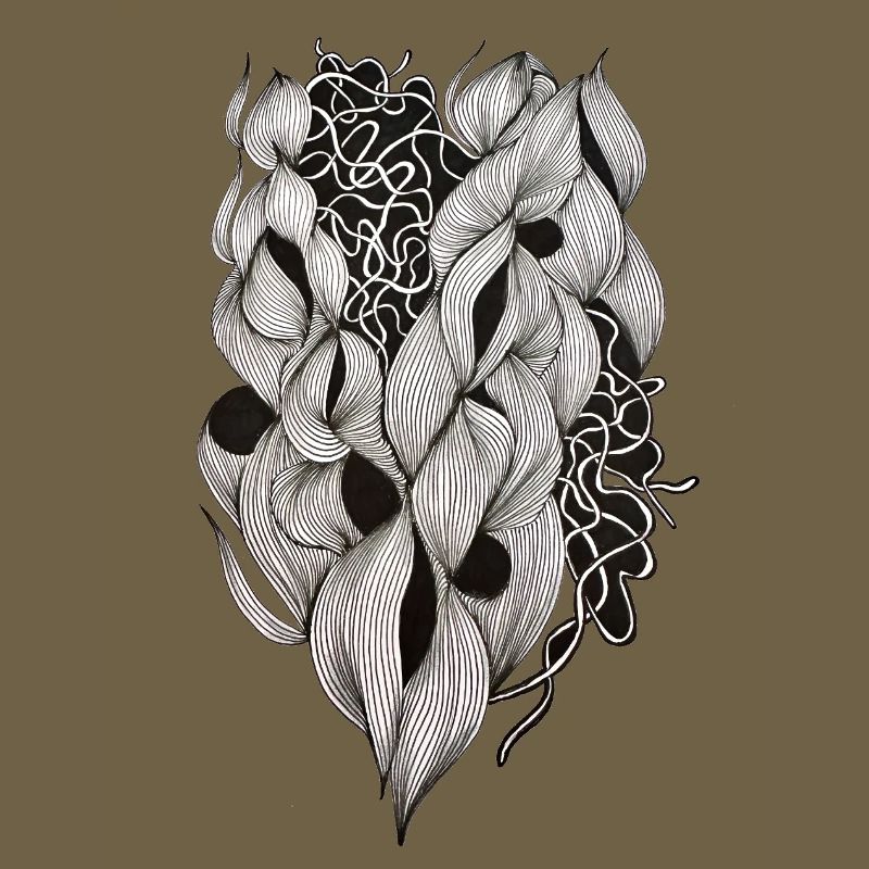 Plexus cardiaque entrelacé