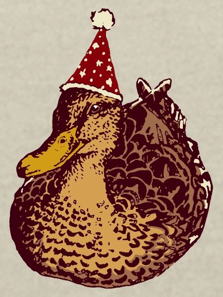 MALLARD DE NOËL