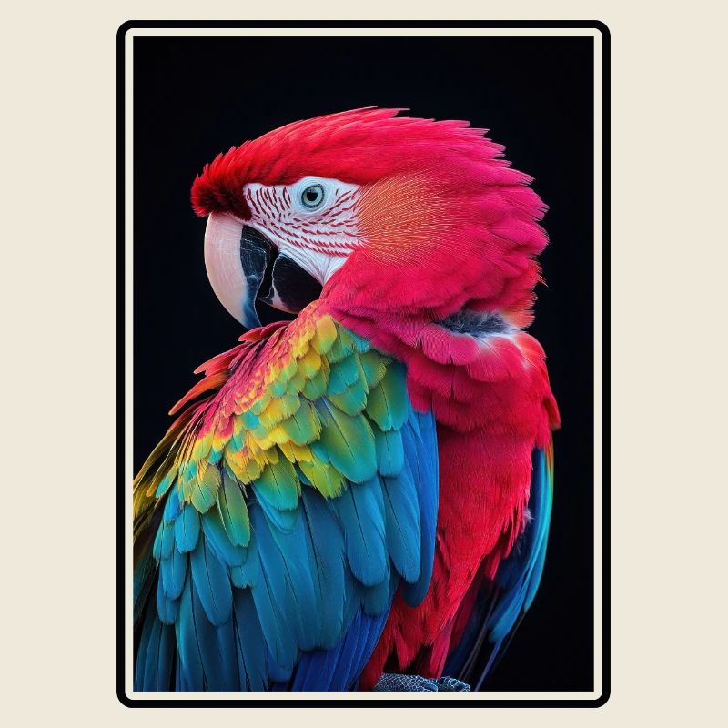 Macaw's Era