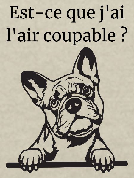 Bouledogue Français