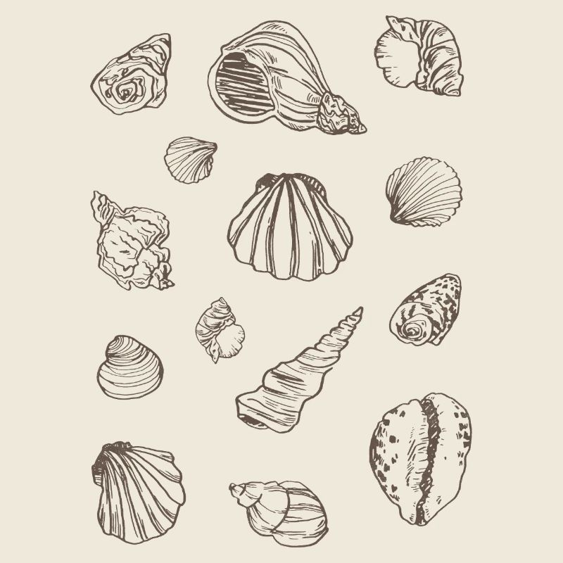 MOULES