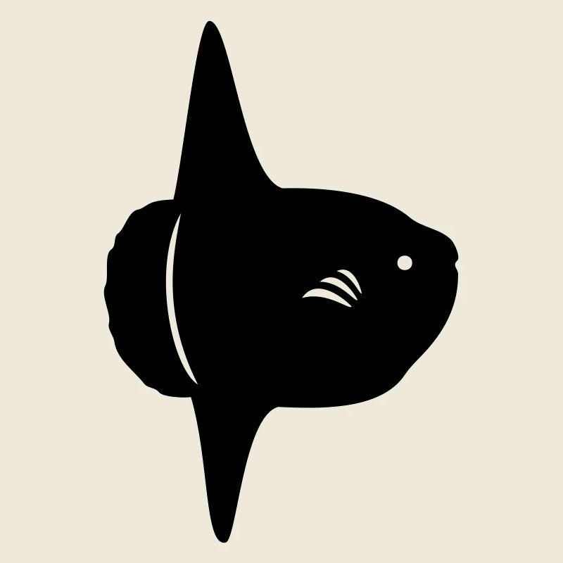 Mondfisch - Mola Mola