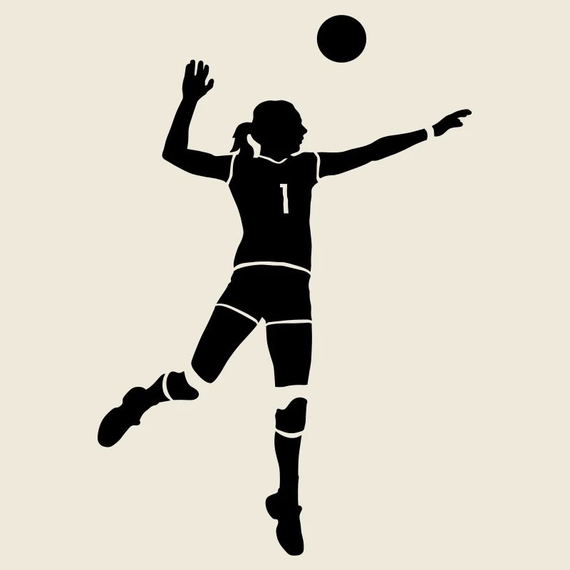 volleyball