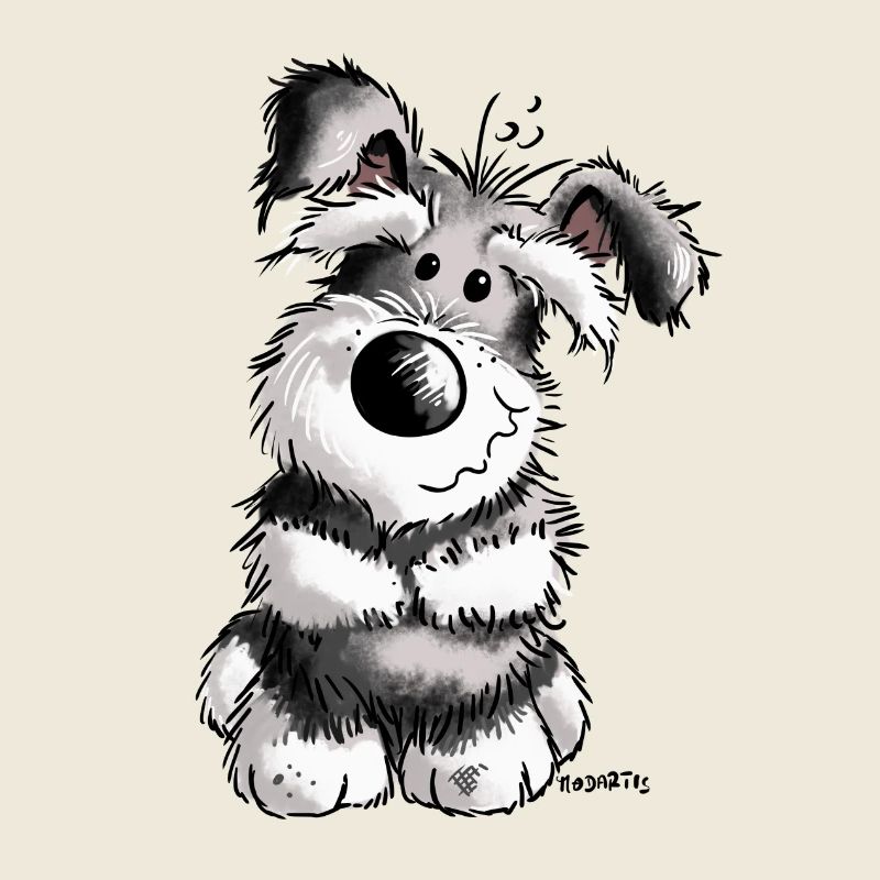 Doux Schnauzer - Chien - Chiot - Cadeau