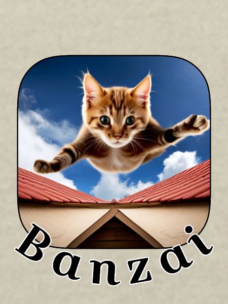 Banzai Cat 2