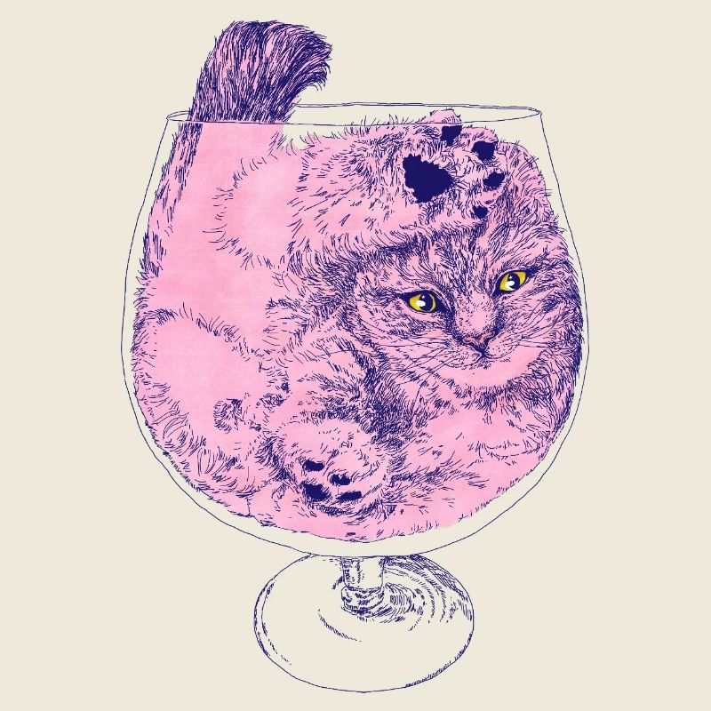 KITTEN COCKTAIL