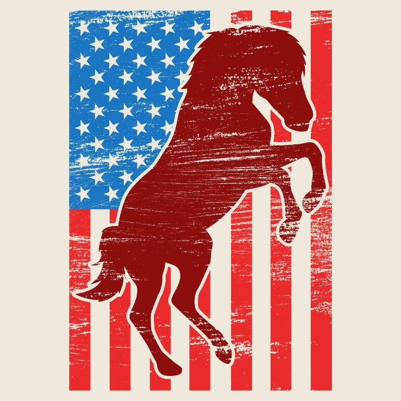 US Flag Riding