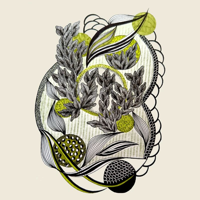 Graphismes kaléidoscopiques de plantes