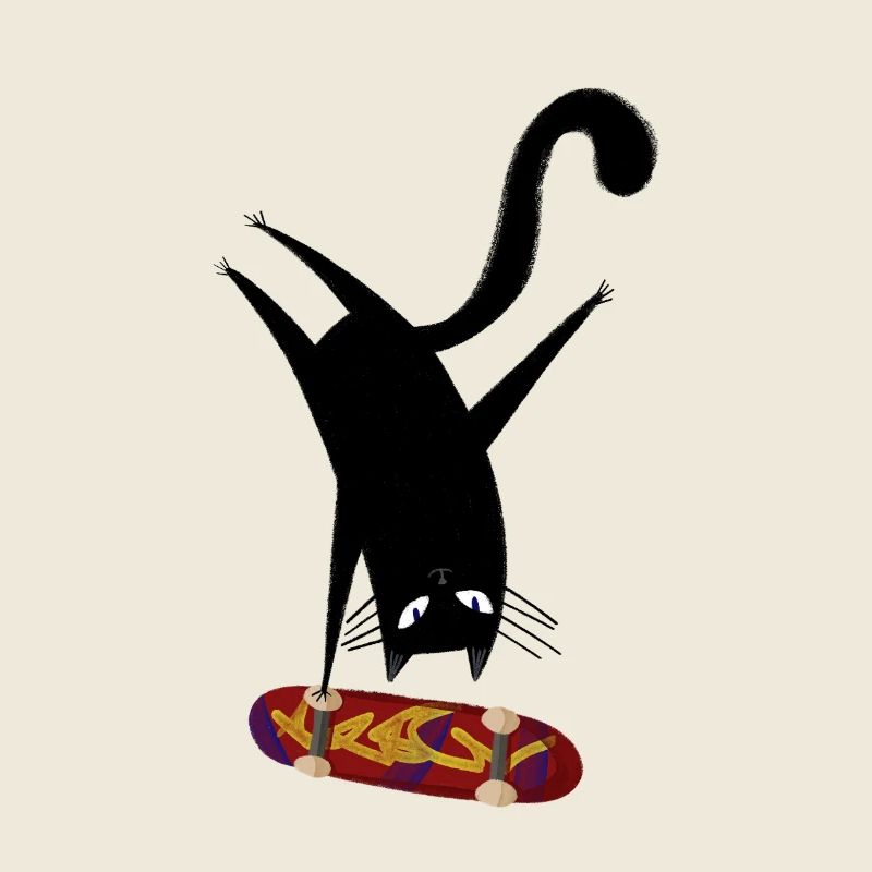 Skateboard pour chat