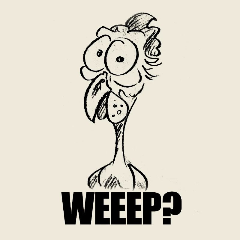 WEEEP? Baffled Chicken Head – Humor