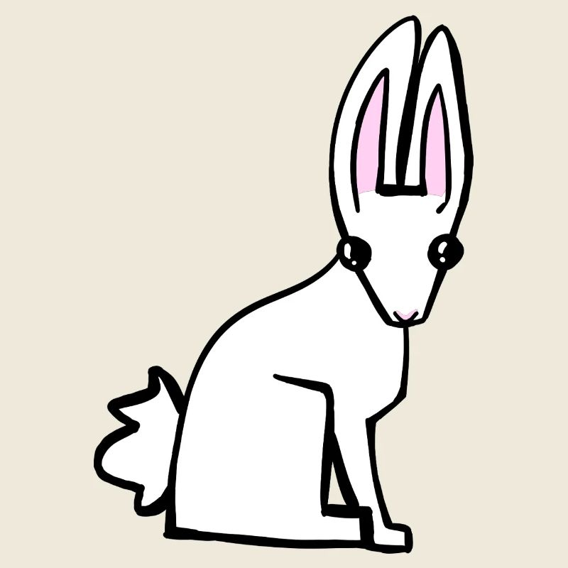 Lapin blanc