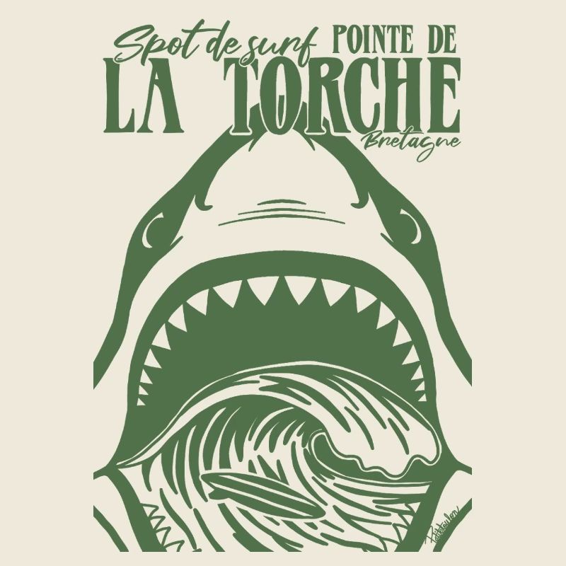 La Torche Surf Requin Bretagne