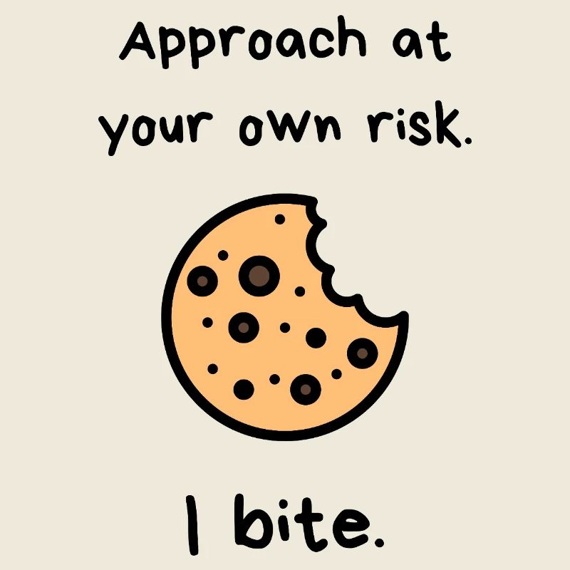 Chocolate Chip Cookie Bite