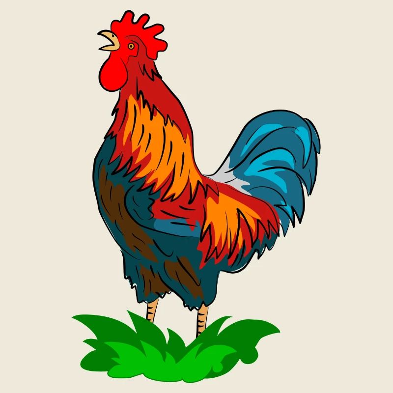 rooster