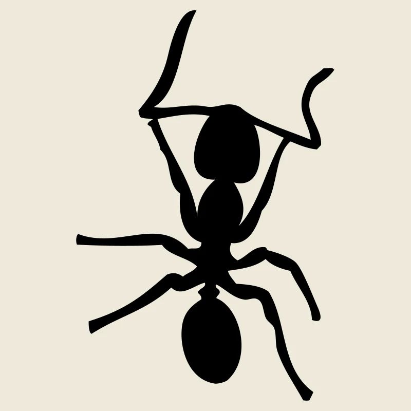 Ant - Insect - Ants