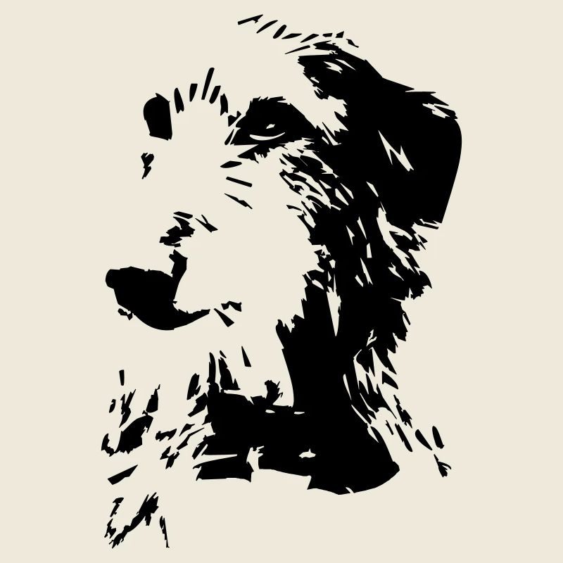 Scottish Deerhound Kopf
